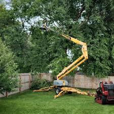 Landscape Design and Installation in Woodside East, DE